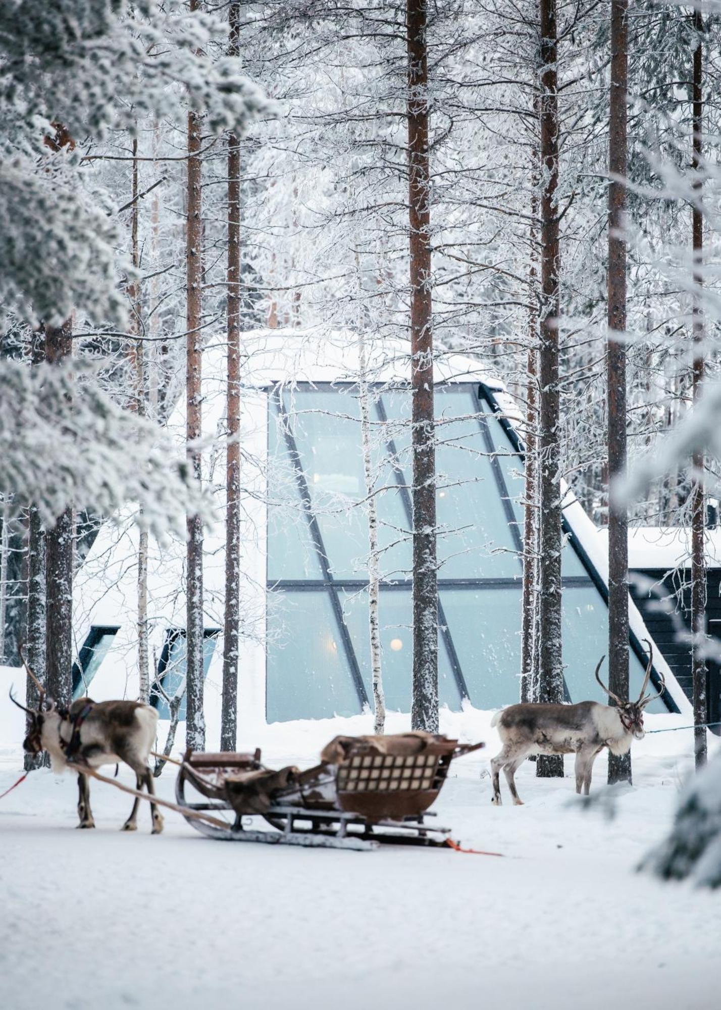 Glass Resort Rovaniemi Bagian luar foto